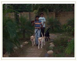 Slider image (4) Naturopathy Resort